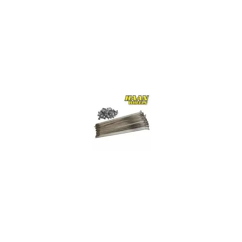 jeu rayons arriere HAAN 19" pour roues HANN WHEEL HAAN wheel
