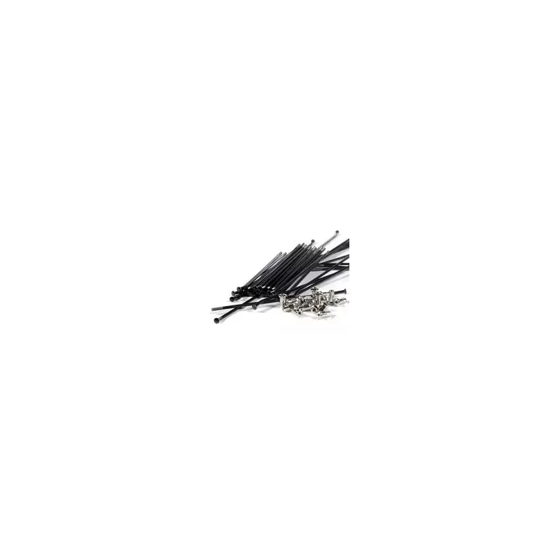 rayons avant TALON noir TALON