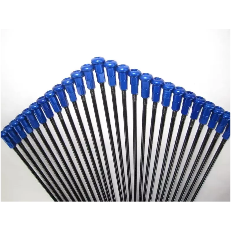 rayon avant + arriere TECH2 21" noir tete de rayon bleu TECH2