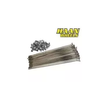 jeu de 36 rayons avant HAAN 21"