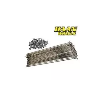 jeu de 36 rayons avant HAAN 21" HAAN wheel
