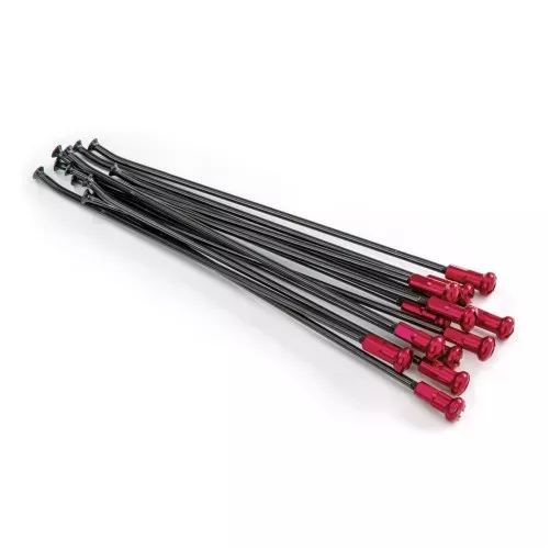 kit rayons arriere 19" noir rouge CR/F 02-23