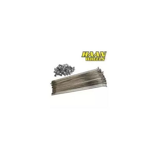 jeu de 28 rayons arriere HAAN 85 KX01-17 16"