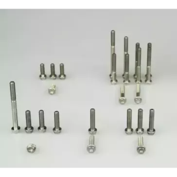 Kit vis moteur SCAR titane 40 pièces 125 SX/TC 23-25 MC 24-25