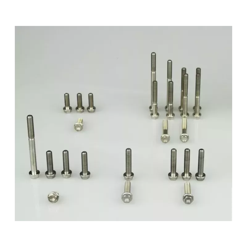 Kit vis moteur SCAR titane 40 pièces 125 SX/TC 23-25 MC 24-25