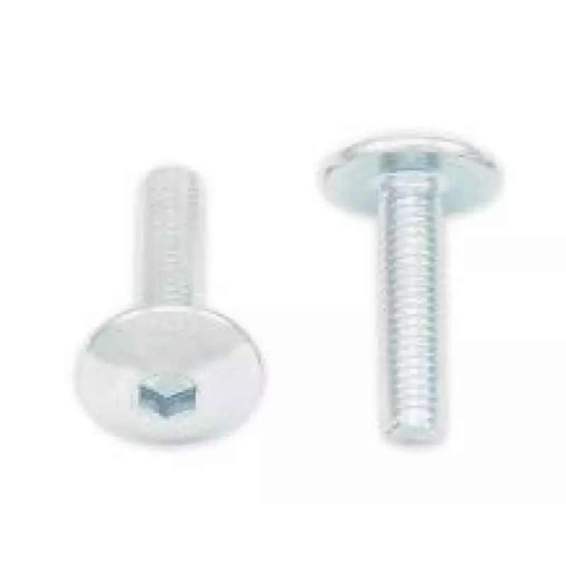 Vis tête bombée plate BOLT M5x0,80x20mm