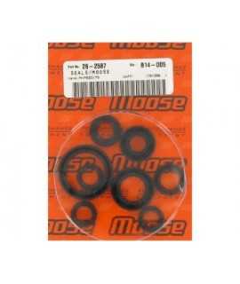 spy moteur 250 kxf 06-13