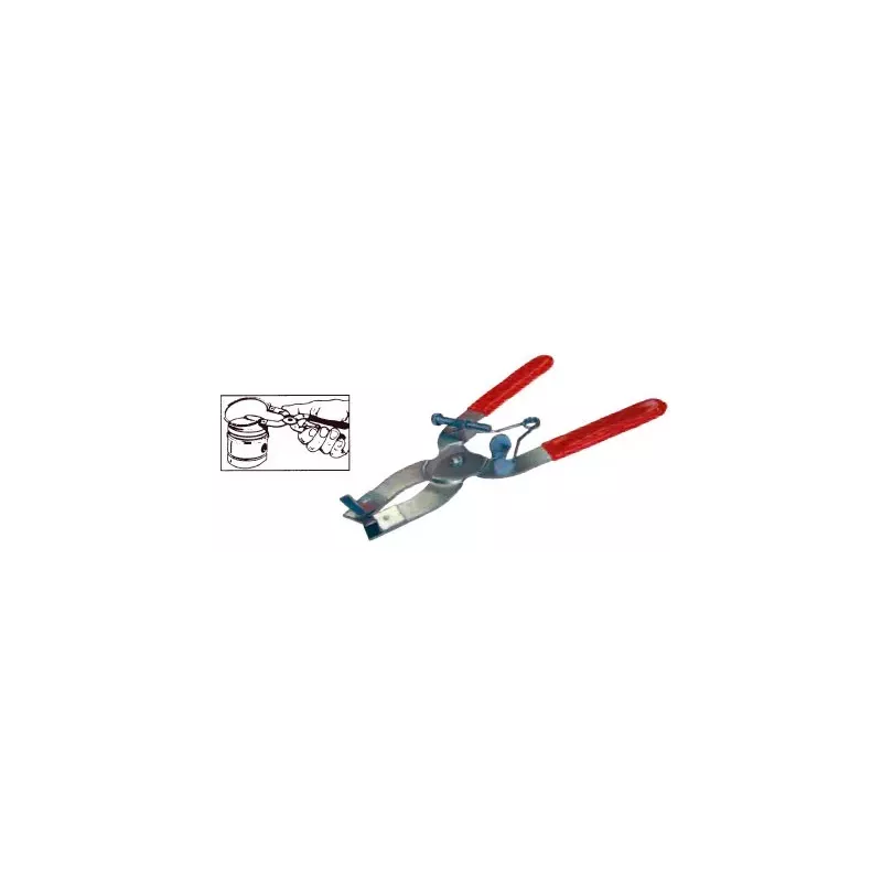 pince segment buzzetti 14.50