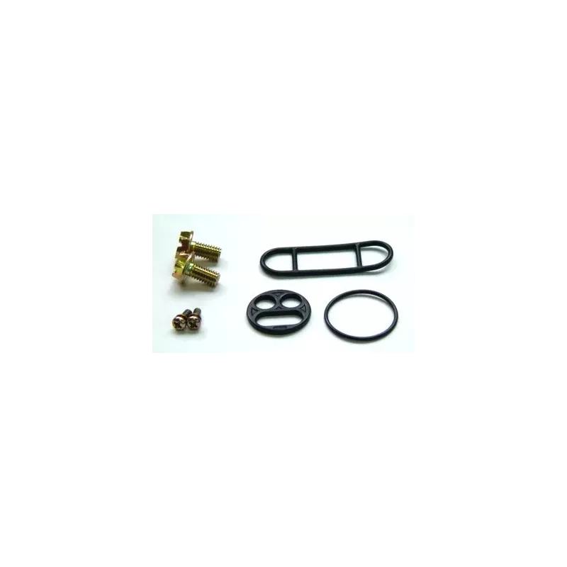Kit réparation de robinet d'essence TOURMAX