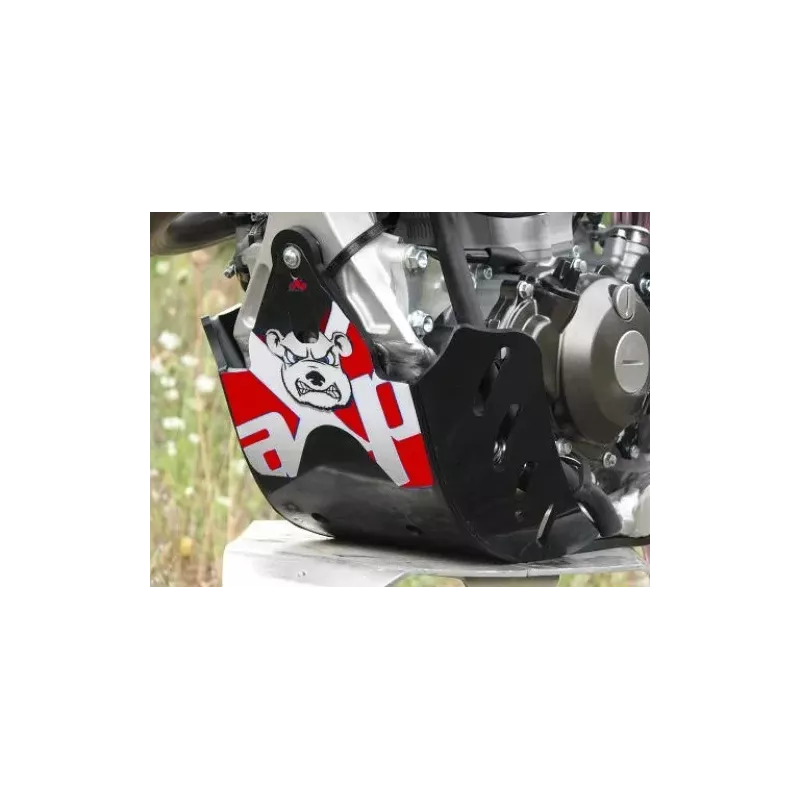 sabot AXP GP 450 CRF 09-16 AXP