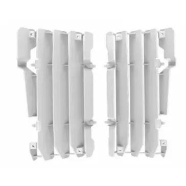 grille radiateur BETA 250/300 RR 13-17