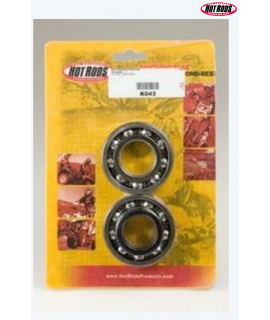 Roulements plus joints spi...
