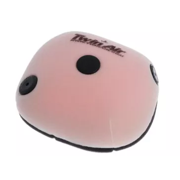 Filtre à air STD TWIN AIR TRIUMPH TF 24-25