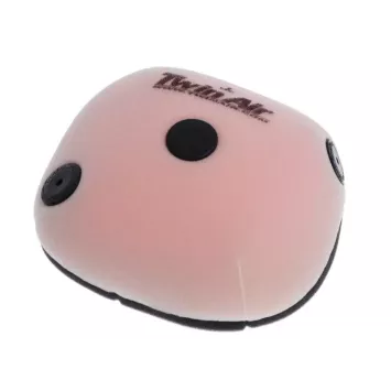 Filtre à air STD TWIN AIR TRIUMPH TF 24-25