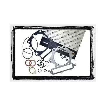 joint moteur 450 YZF 06-09