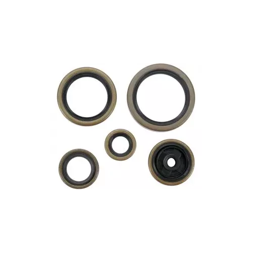 Kit Joints Spys Moteur et HUSABERG 250 TE ET 300 TE 11-14