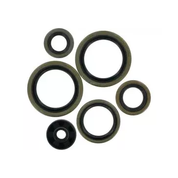 Kit Joints Spys Moteur HUSQVARNA 125 TC 14-15 et 125 TE 15