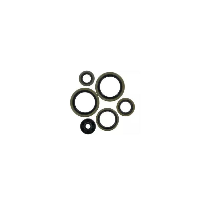 Kit Joints Spys Moteur HUSQVARNA 125 TC 14-15 et 125 TE 15 27.54