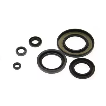 Joint spy moteur KTM 125 SX 98-15