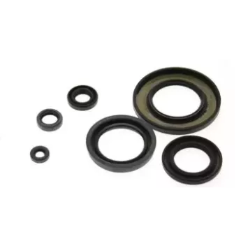Joint spy moteur KTM 125 SX 98-15