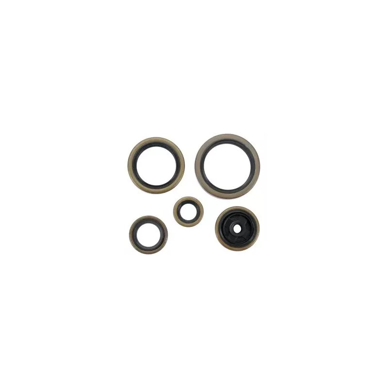 Kit Joints Spys Moteur KTM 250 EXC 04-05 et 250 SX 03-16