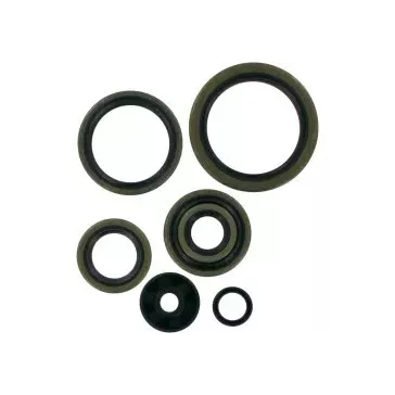 Joints Spys Moteur 250 SX 17-22, 250 TC 17-22, 250 MC 21-23