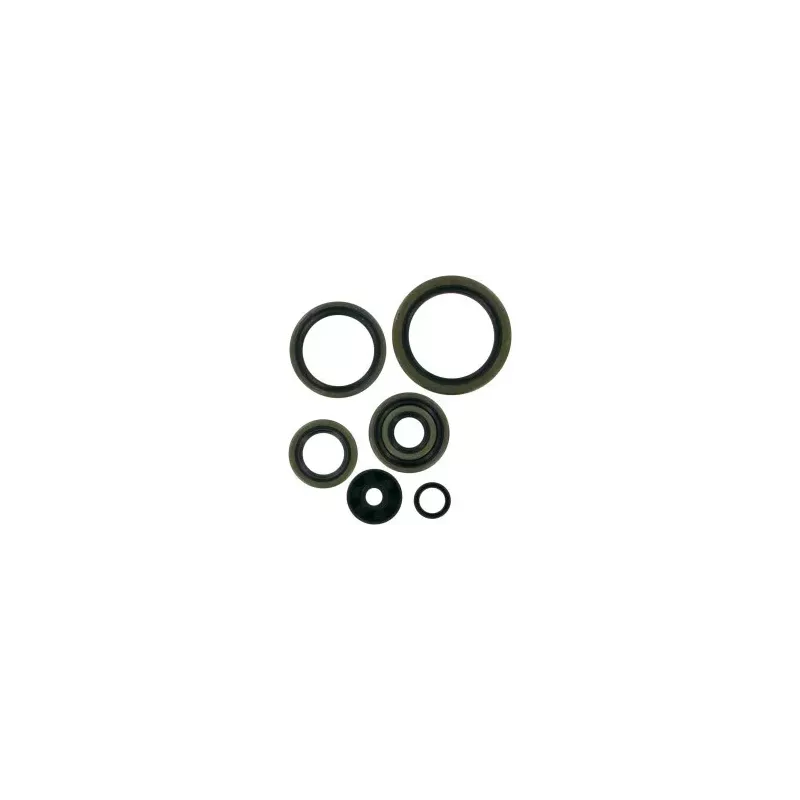 Joints Spys Moteur 250 SX 17-22, 250 TC 17-22, 250 MC 21-23