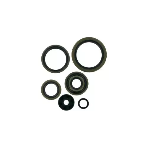 Joints Spys Moteur 250 SX 17-22, 250 TC 17-22, 250 MC 21-23