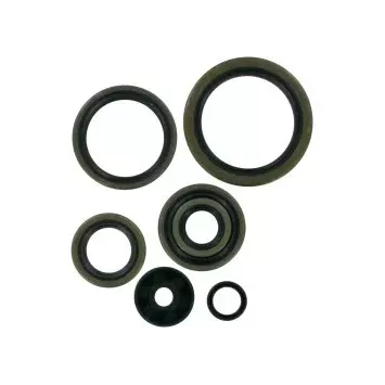 Joints Spys Moteur 250 SX 17-22, 250 TC 17-22, 250 MC 21-23