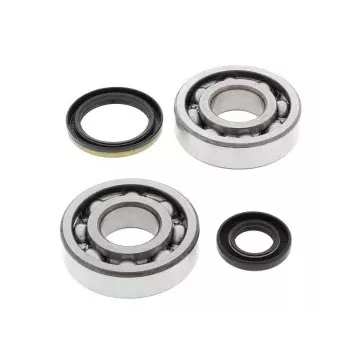 Kit de roulement de Vilebrequin 250 RM 94-95