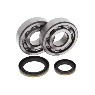 Kit de roulement de Vilebrequin 250 RM 96-02