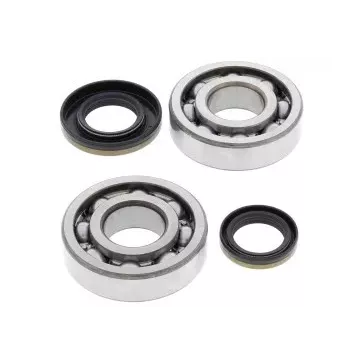 Kit de roulement de Vilebrequin 250 RM 05-08