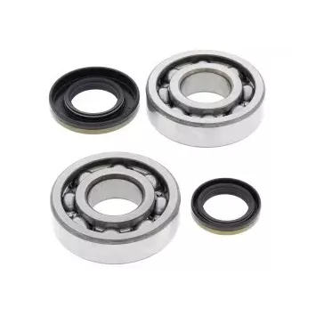 Kit de roulement de Vilebrequin 250 RM 05-08