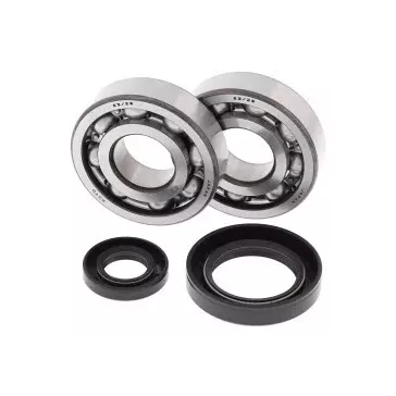 Kit de roulement de Vilebrequin 250R CR 92-07