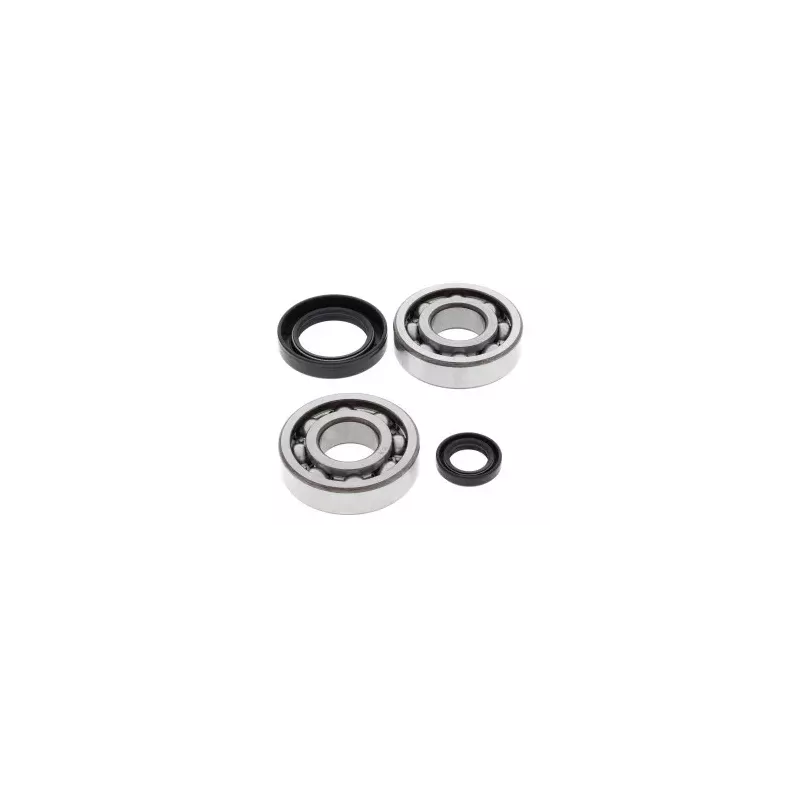 Kit de roulement de Vilebrequin 500R CR 84-01