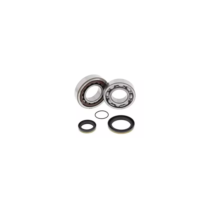 Kit de roulement de Vilebrequin 250 TE et 250 TC et 300 TE 14-15