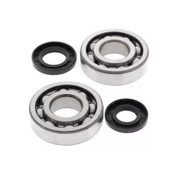 Kit de roulement de Vilebrequin 250 KX 87-01
