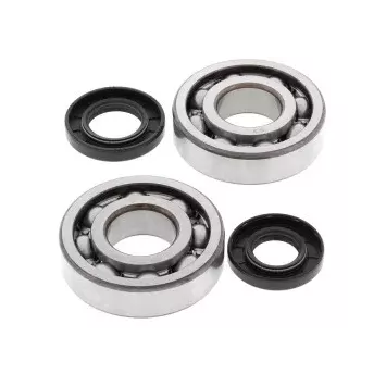 Kit de roulement de Vilebrequin 250 KX 87-01