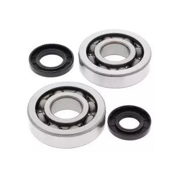 Kit de roulement de Vilebrequin 250 KX 02-07