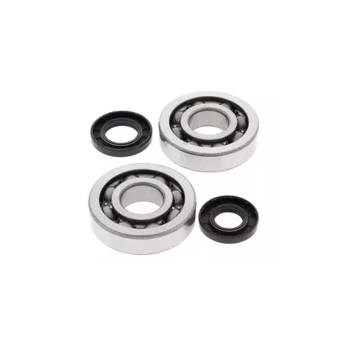 Kit roulement Vilo 50 PW