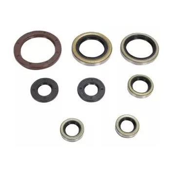 Kit Joints Spys Moteur HUSQVARNA 350 FC 14-15 et 350 FE 14-15 et 35...