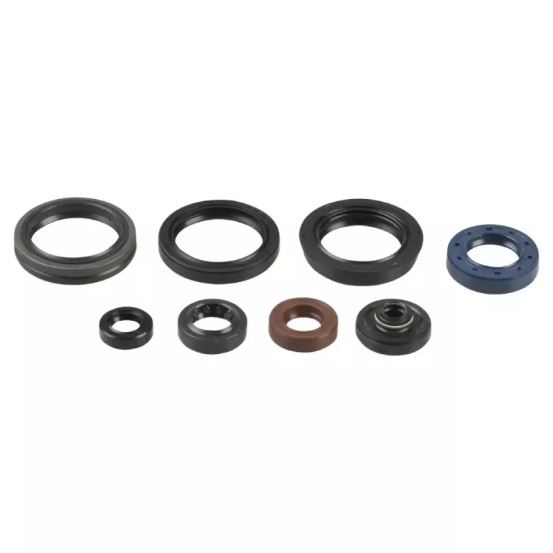Spy Moteur 250 RMZ 07-18