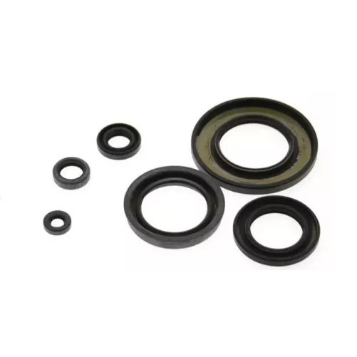 spy moteur 250 yzf 01-13