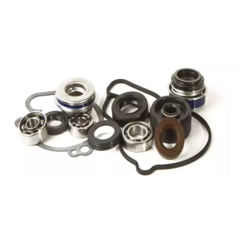 kit réparation pompe à eau 450 YZF 18-22