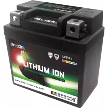 Batterie SKYRICH Lithium-Ion - LFP01