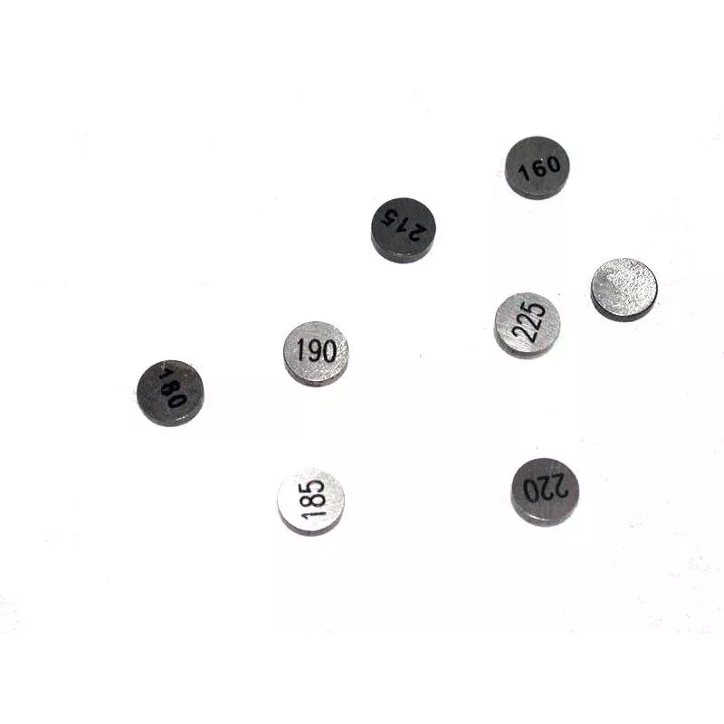 sachet pastilles 7.48mm (sachet de 5 pastilles)