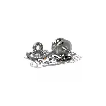 vilo complet BOTTOM end kits HOTRODS 700 RAPTOR 06-14