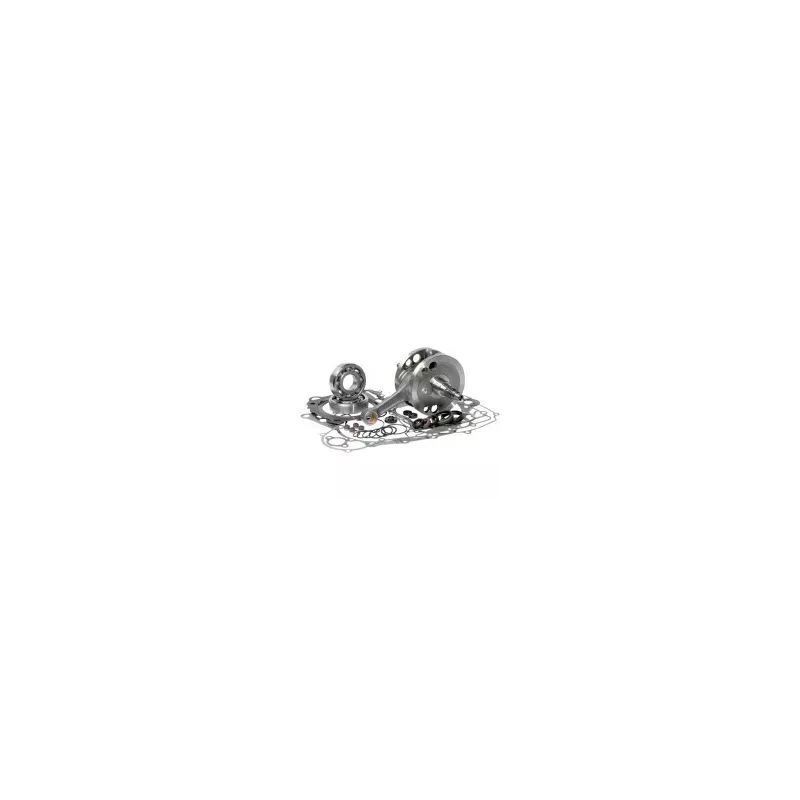 vilo complet BOTTOM end kits HOTRODS 700 RAPTOR 06-14 689.50