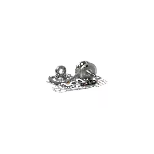 vilo complet BOTTOM end kits HOTRODS 700 RAPTOR 06-14