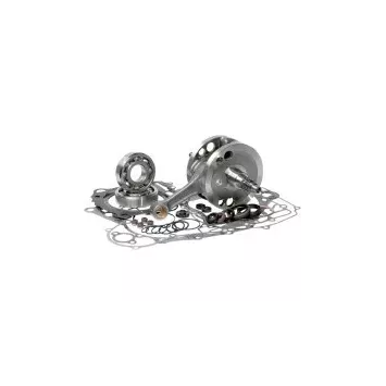 vilo complet BOTTOM end kits HOTRODS 700 RAPTOR 06-14 689.50